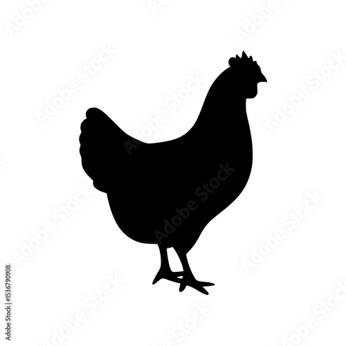 black hen vectore