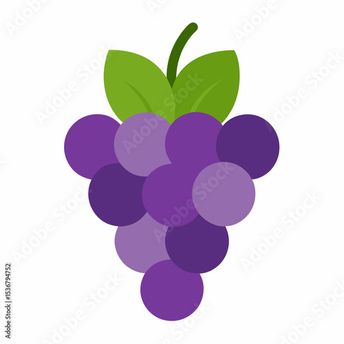 Grapes vector illustration on white background