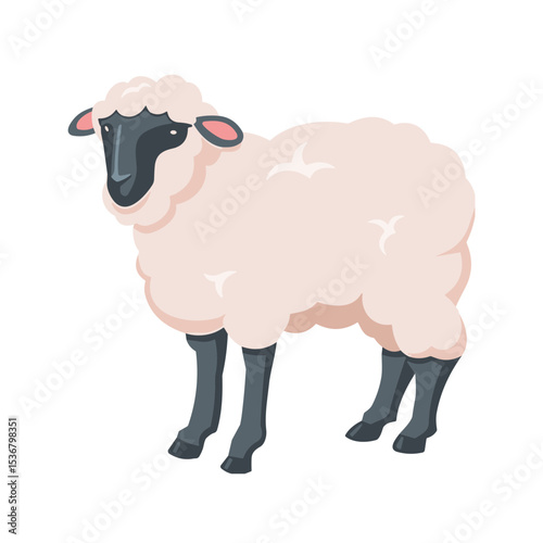 Sheep