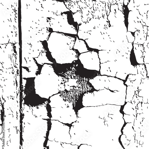 Cracked Paint Texture Black and White Abstract Background