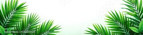 Vibrant green palm leaves border, isolated on white Ideal for tropical designs , pattern, palm leaf border