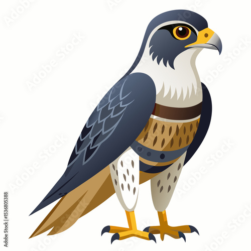 eagle isolated on white