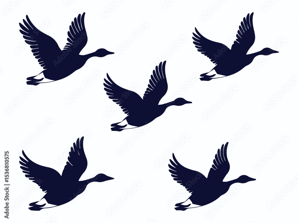 Fototapeta premium group of flying geese vector illustration, geese silhouette set vector art