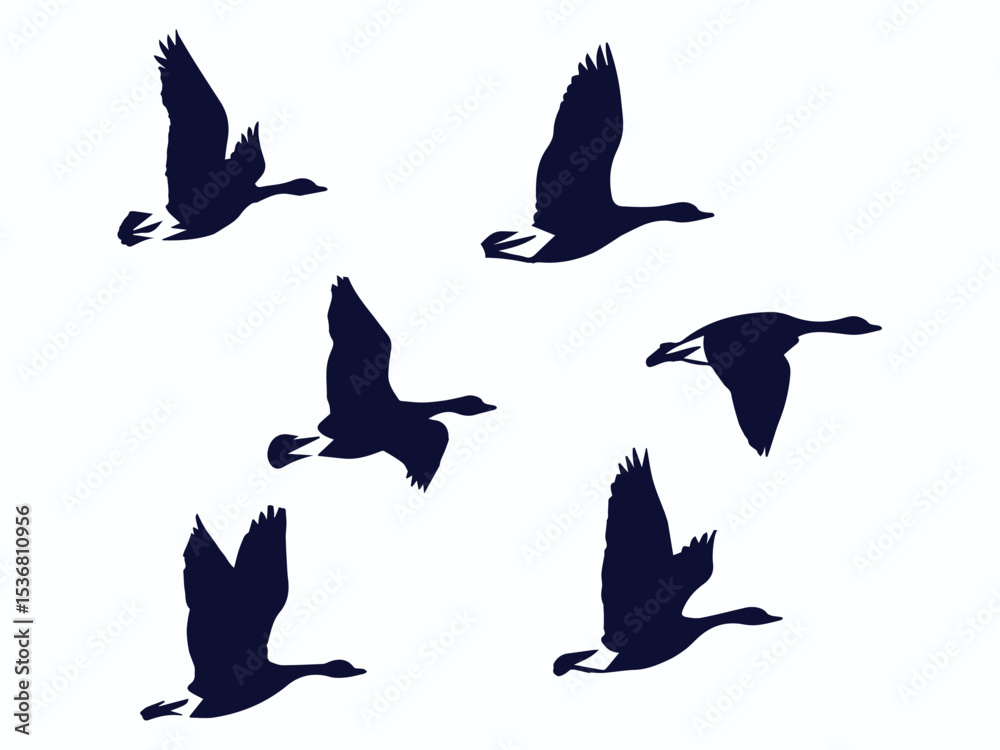 Fototapeta premium group of flying geese vector illustration, geese silhouette set vector art