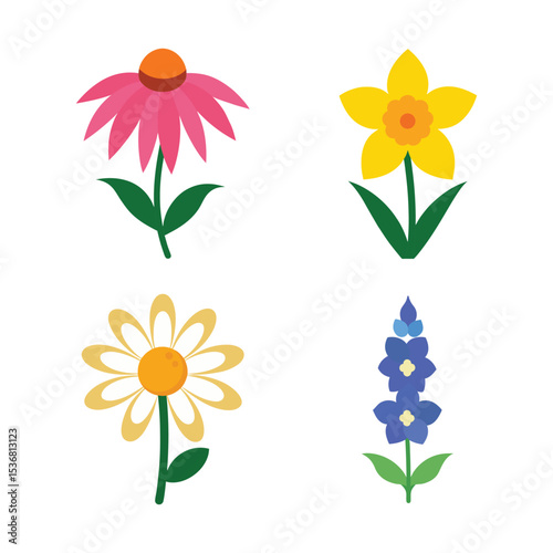 Vibrant Spring Flowers Daisy, Daffodil, Coneflower, Delphinium Illustrations