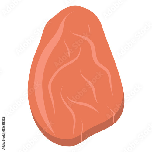 Raw slice fillet with veins. Raw steak vector illustration on a white background. Meat piece, sirloin