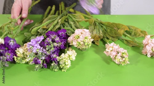 Hands Gathering Mixed Stock Flowers on Table