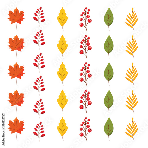A set of vector stylized autumn leaves and berries, maple leaf, rowan branch, oak leaf.