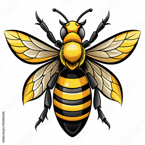bee realistic  design and bold line black , white background ,full  color