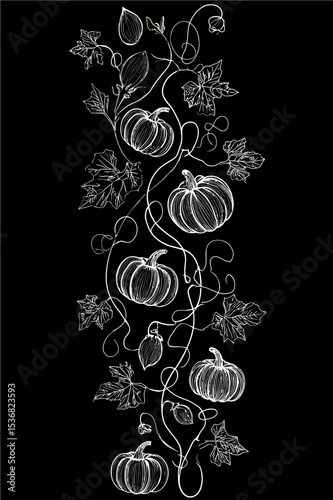 Elegant white line art pumpkin vine pattern on black background. Sophisticated botanical illustration perfect for luxury autumn branding, premium packaging, and chic seasonal designs