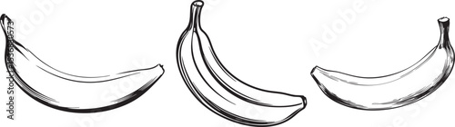 banana minimalist sketch isolated on white background