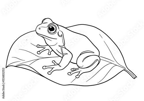 Frog on leaf drawing. It is a black and white outline image of a frog sitting on a large leaf, depicting a tranquil natural scene. Vector sketch line art draw.
