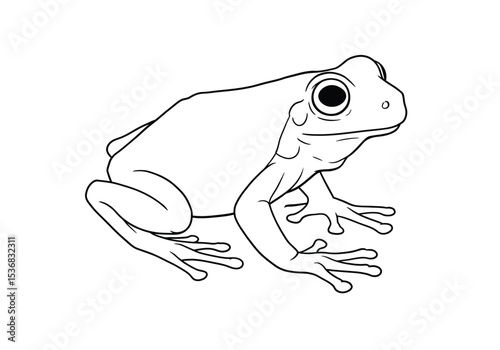 Coqui frog drawing. It is a black and white outline image of a Coqui frog, a small tree frog known for its distinct vocalizations. Vector sketch line art draw.