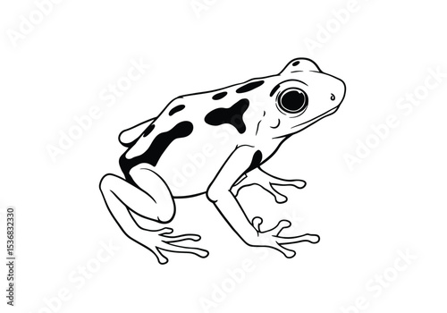 Dart frog drawing. It is a black and white outline image of a dart frog, showcasing its distinctive spotted pattern and slender form. Vector sketch line art draw.