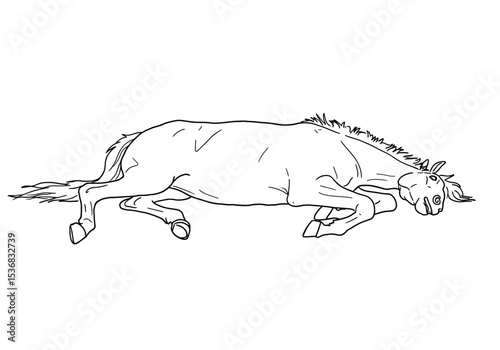 Dead horse drawing. It is a black and white outline image of a dead horse, depicting a lifeless and fallen equine in a prone position. Vector sketch line art draw.
