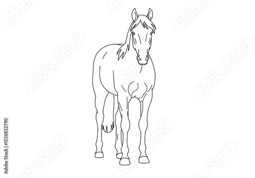 Front-facing horse drawing. It is a black and white outline image of a horse depicted from a front-facing perspective, showcasing its full body. Vector sketch line art draw.