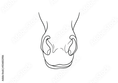 Horse nose drawing. It is a black and white outline image of a horse's nose and muzzle, showing the nostrils and a portion of the mouth. Vector sketch line art draw.