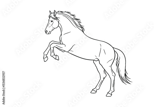 Horse rearing drawing. It is a black and white outline image of a horse rearing up on its hind legs, showcasing a powerful and dynamic pose. Vector sketch line art draw.