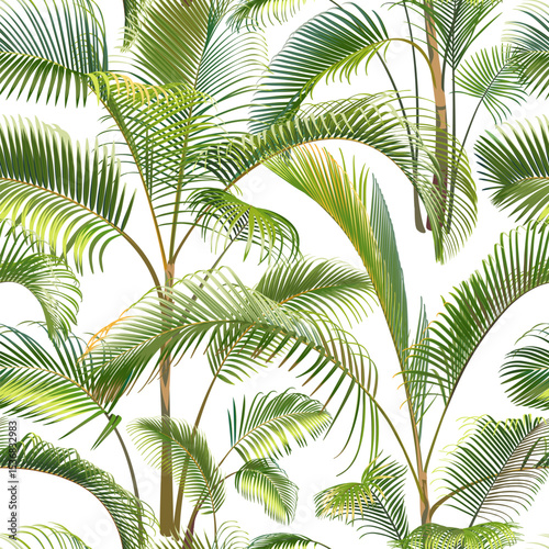 Seamless pattern with green palm tree branches isolated on a white background. Desert and tropical houseplants. 
