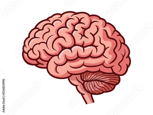 Detailed Cartoon Illustration of Human Brain in Side View