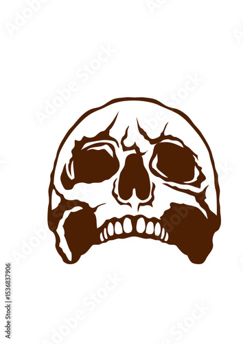 tete de mort crane halloween dessin face
