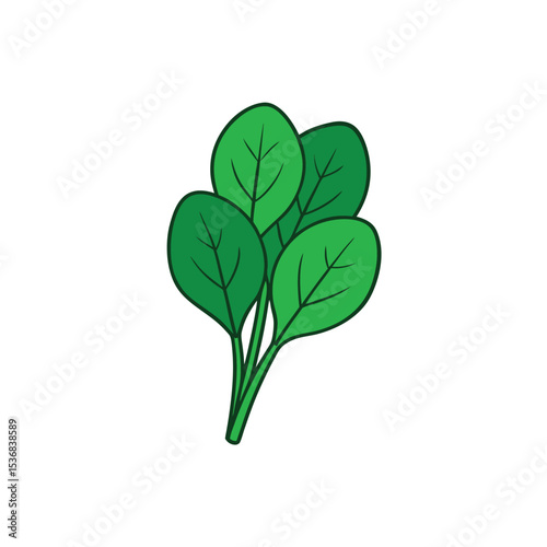green plant isolated