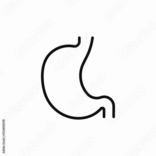 stomach organ icon sign vector