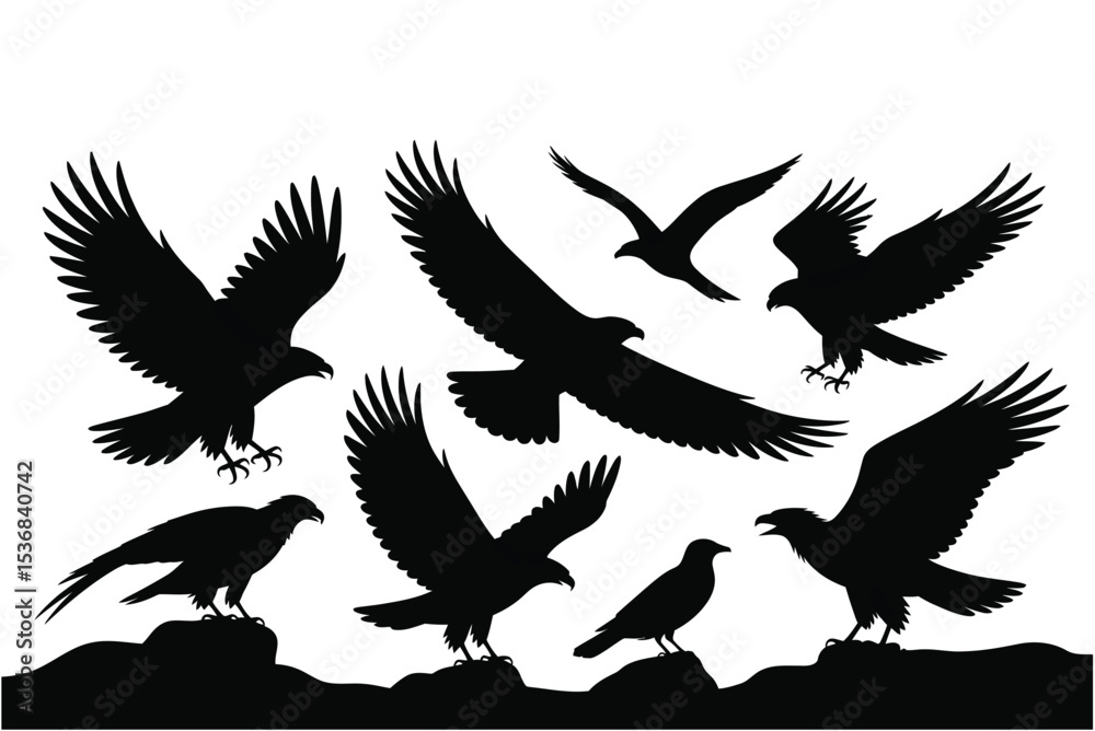 Fototapeta premium Black eagle silhouette vector images flying eagles and standing eagle collection