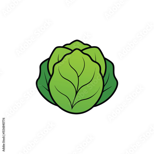 cabbage isolated on white background