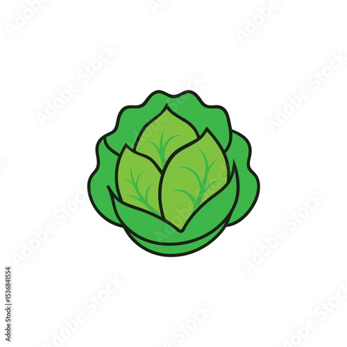 cabbage isolated on white