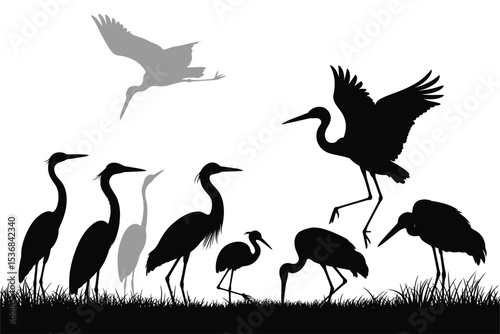 Silhouette of herons and egrets in a wetland wildlife scene vector illustration