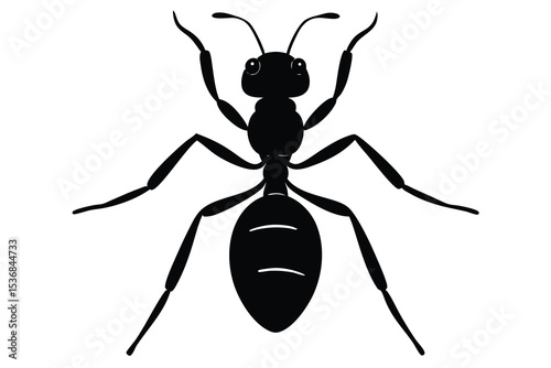 Ant insect silhouette vector elements simple Black ant icon Illustration.