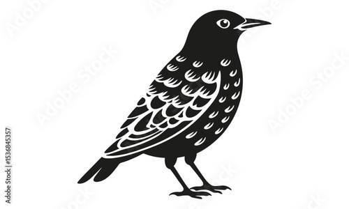Elegant Black and White Bird Illustration A Stunning Avian Design