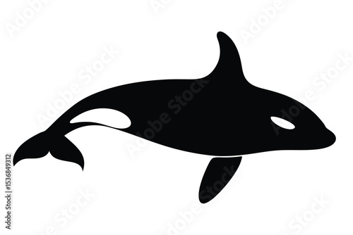 Orca fish jumping Silhouette Vector, Orca whale killer simple icon flat design.