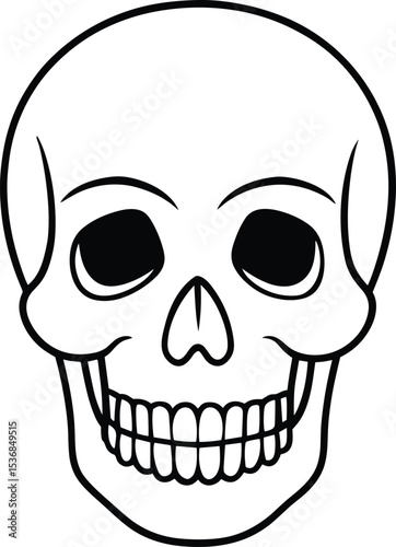 Symmetrical Skull Line Drawing – Clean Human Skull Outline Vector