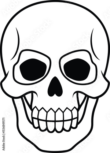 Minimal Skull Line Art – Clean Human Skull Vector Illustration