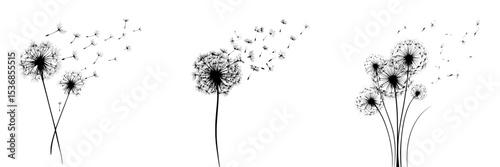 A contemporary depiction shows black dandelion seeds drifting through the air, carried by the breeze
