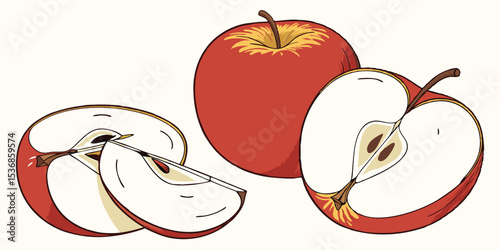 Illustration of fresh red apples whole and cut in half and sliced for healthy eating and snacks vector
