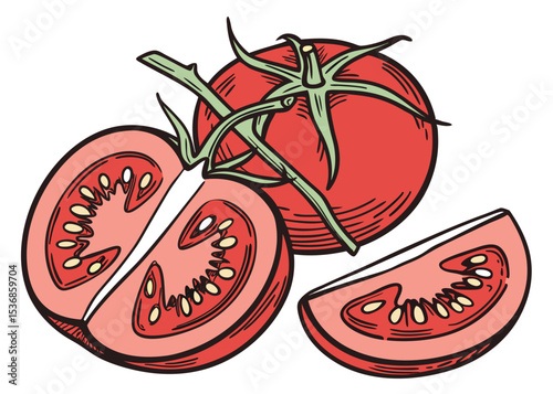 Tomato illustration fresh red vegetable sliced tomatoes food healthy eating cooking recipe ingredient  vector
