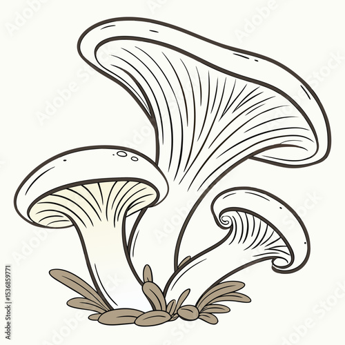 Mushroom illustration outline vector drawing edible fungi forest fungus nature botanical line art graphi
