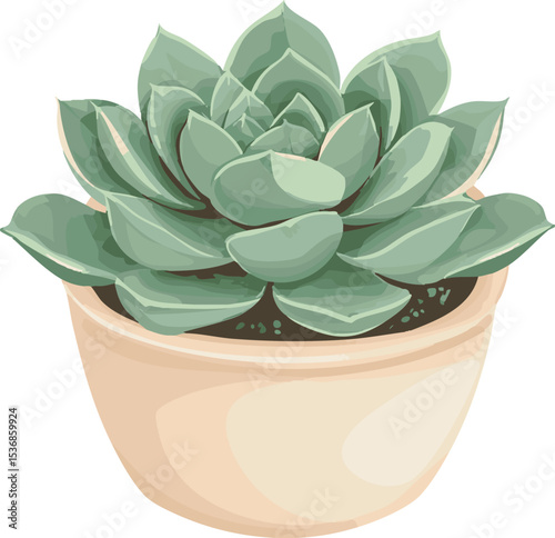 Succulent in ceramic pot vector illustration