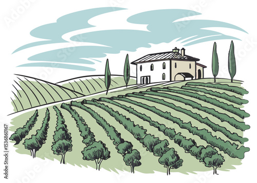 Illustration of vineyard landscape with farmhouse and trees in the countryside nature scene view vector
