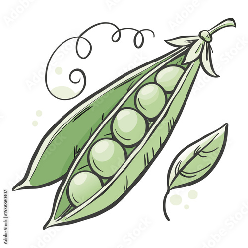 Illustration of fresh green peas in a pod vegetable healthy food vegan diet plant based eating drawing art vector
