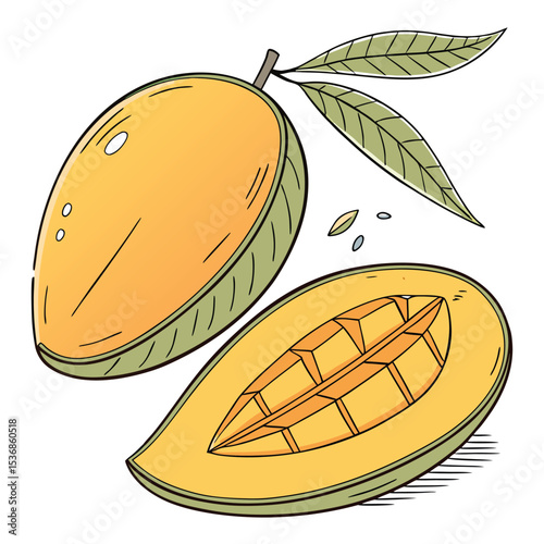 Delicious mango fruit illustration vector graphic for food blog and recipe website design resource asset vector
