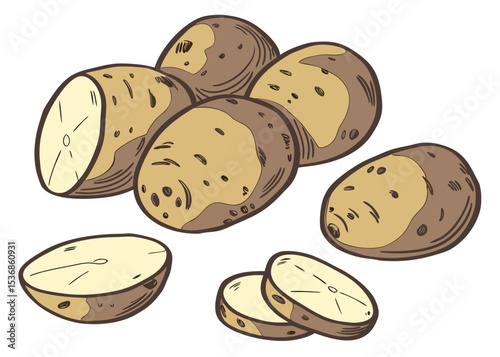 Illustration of fresh raw potatoes whole and sliced for cooking healthy food and recipes ideas design vector
