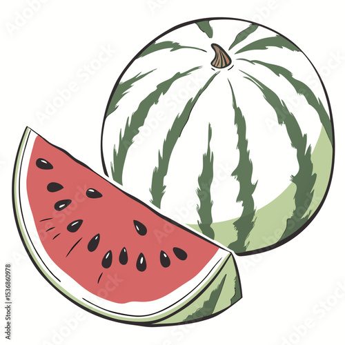 Watercolor painting of watermelon slice and whole fruit vector illustration isolated on white background
