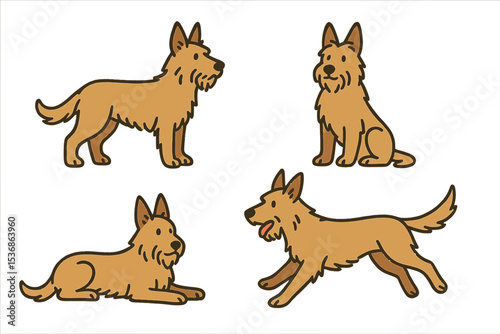 Berger Picard dogs in different poses illustration  