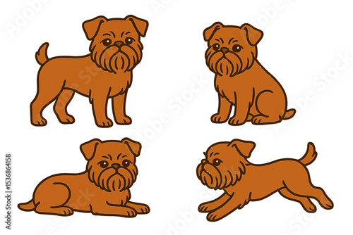 Brussels Griffons in different poses showing various expressions and actions  