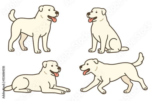 Central Asian Shepherd Dog (Alabai) in different poses and angles  