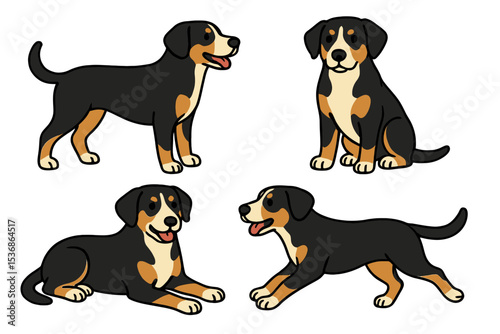Entlebucher Mountain Dog in different poses and expressions on a transparent background
